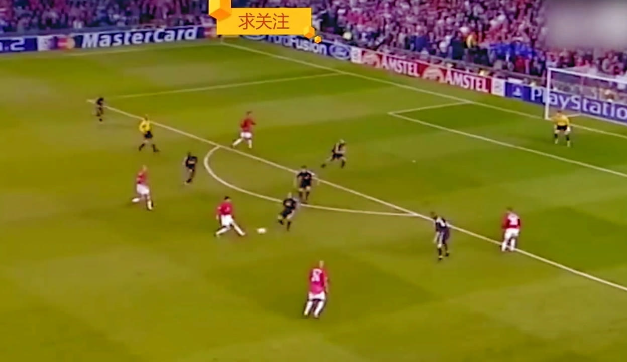 身意识的增 身意识的增