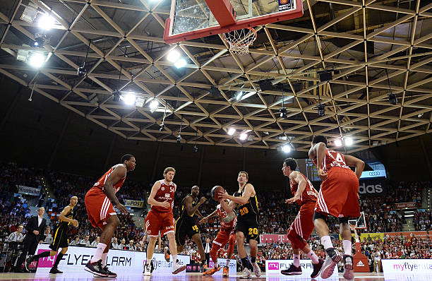 他们都不会 他们都不会